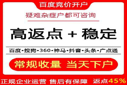 某电商平台的SEM推广策略全解析
